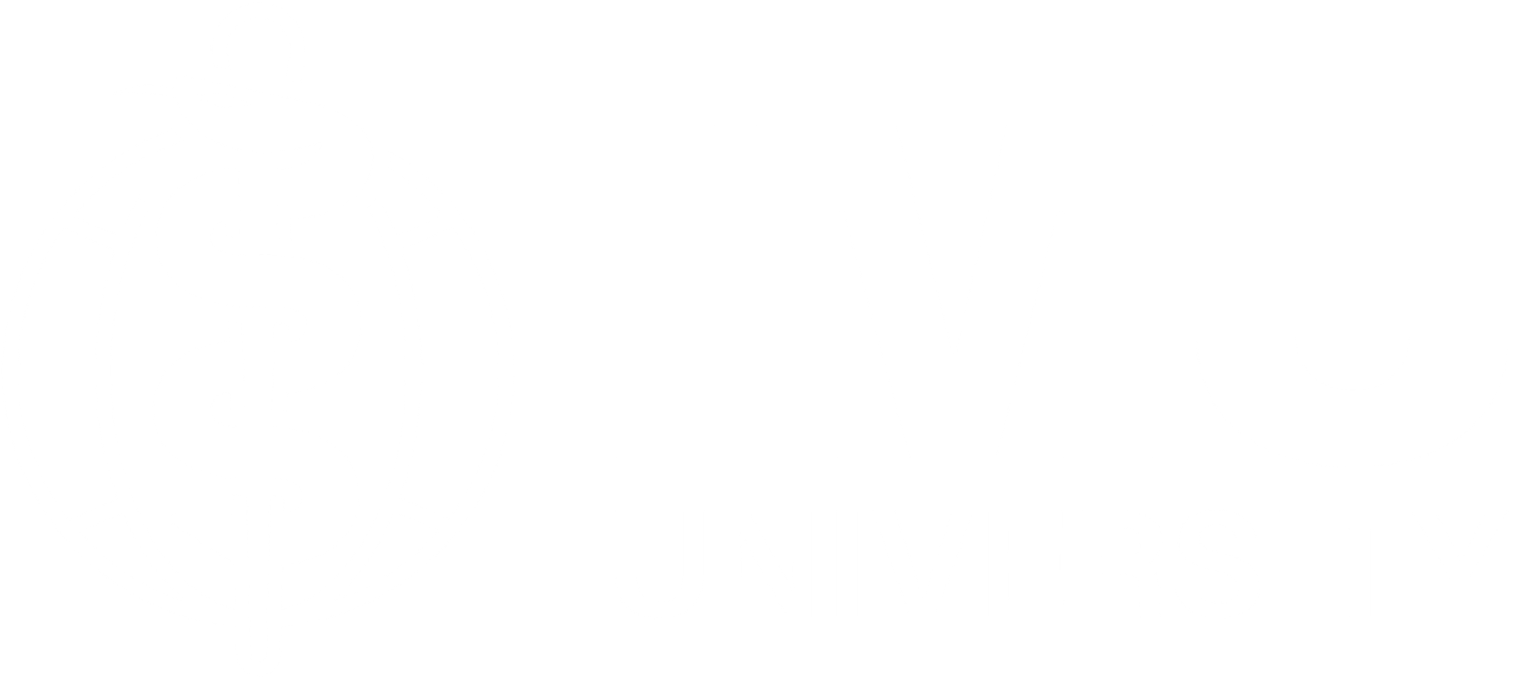 IMU